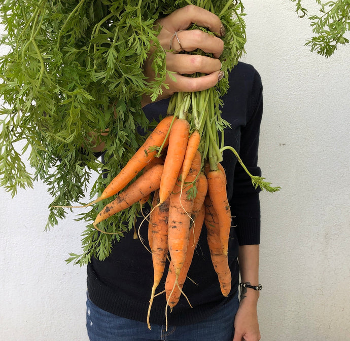 7 beneficios de la zanahoria que no conocías